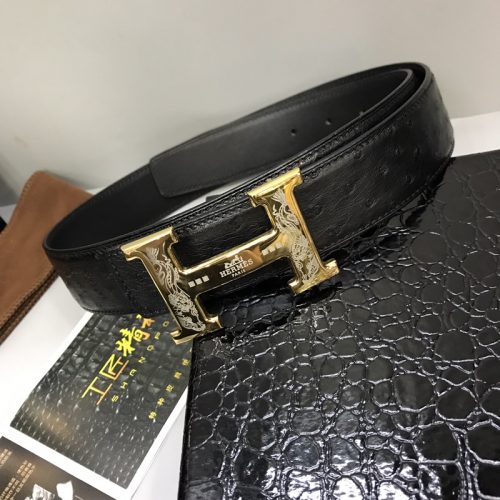 HH waistband 3.8cm