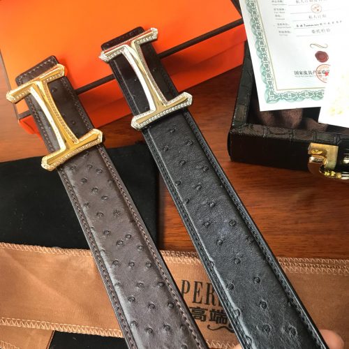 HH waistband 3.8cm