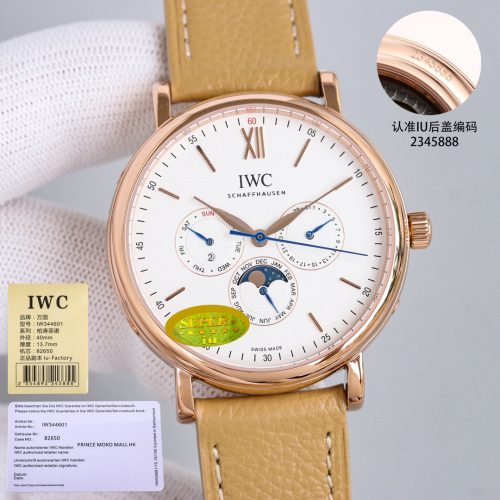 IW watch