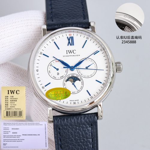 IW watch