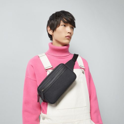 GG waist bag